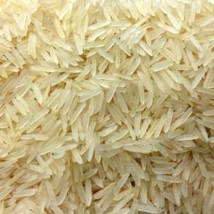 1121 Parboiled Basmati Export Batch